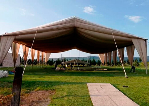 carpa-ivory
