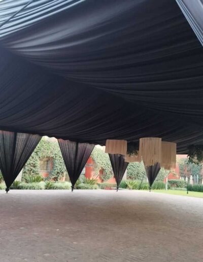 carpa-negra
