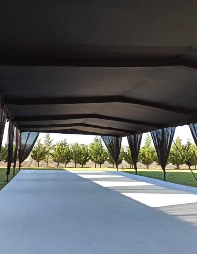 carpa-negra-grande