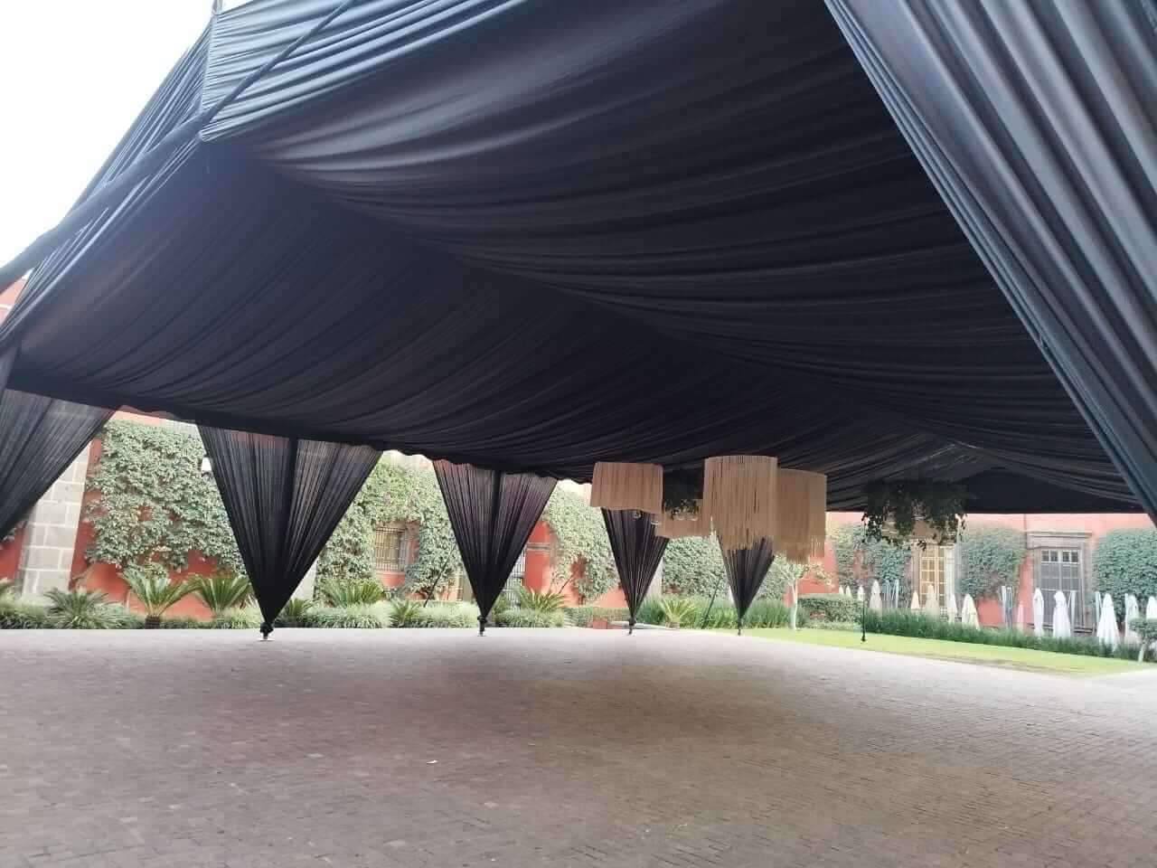 carpa-negra